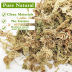 3.5Oz Premium Sphagnum Moss Potting Mix- 4 Qt Natural Succulent Carnivorous Plants Moss Dried, Plant Growing Medium For Orchid Succulent Sarracenia Orchid Gardening Plants Reptiles
