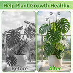 Monstera Plant Support - 32.6 Inch Tall Trellis With 2 Pack Plant Stakes For Your Large Climbing Monstera Deliciosa | Indoor Plant Climbing Frame For Potted Growth