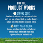 Liquid Fence Deer And Rabbit Repellent Ready-To-Use, Apply Year-Round, 1 Gallon