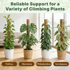4 Pack 16" Moss Pole Monstera Plant Support - Stackable Up To 48" - Plant Stakes For Indoor Climbing Plants Potted - Tall Coco Coir Pole Sticks & Accessories For Monstera, Pothos & Philodendron
