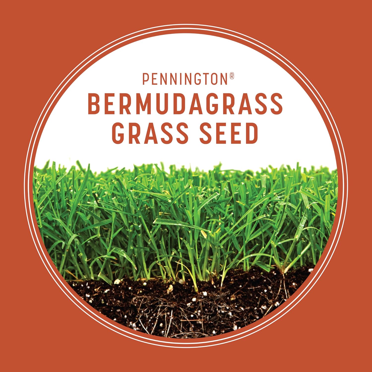 Pennington Bermudagrass Grass Seeds For Lawn, 5 Lb
