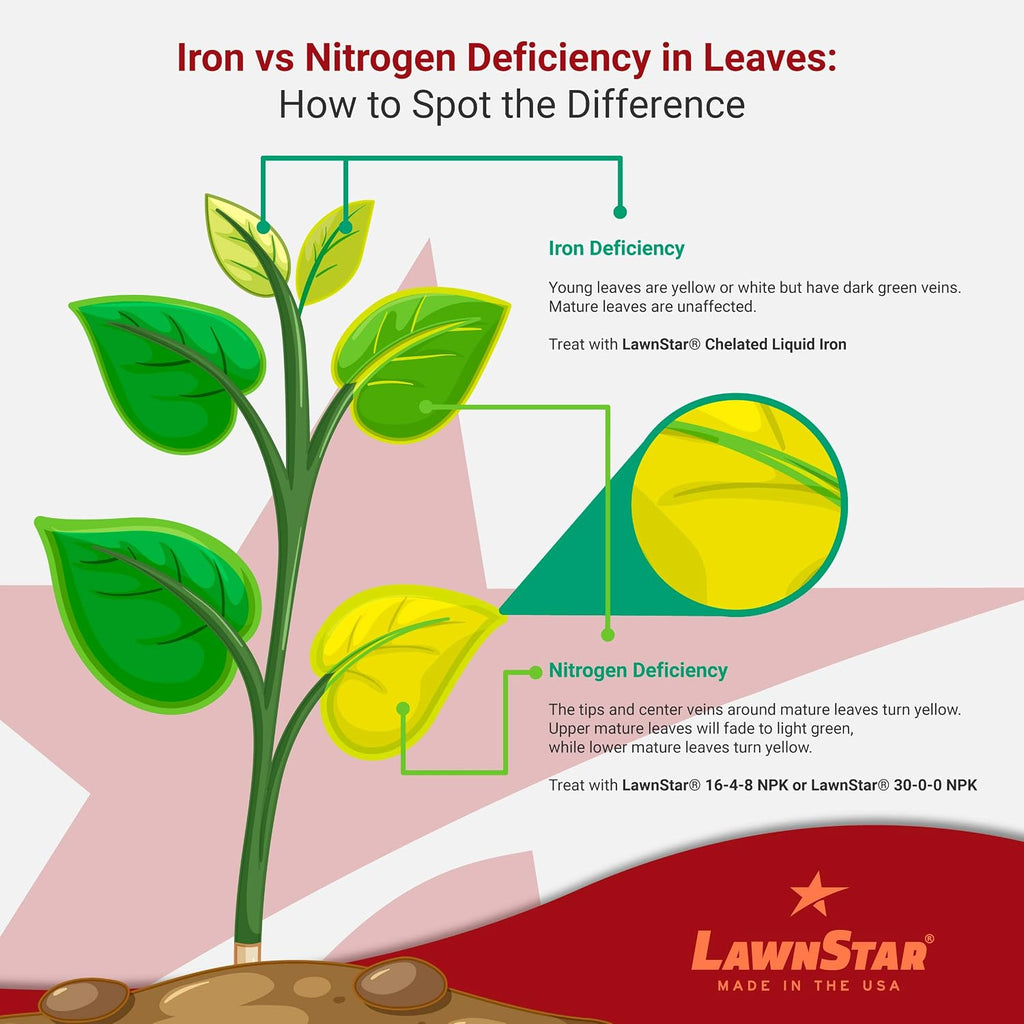 Lawnstar Liquid Iron (32 Oz) For Plants - Multi-Purpose, Suitable For Lawn, Flowers, Shrubs, Trees - Treats Iron Deficiency, Root Damage & Color Distortion – Edta-Free, American Made
