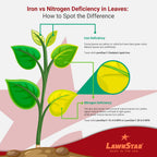 Lawnstar Liquid Iron (32 Oz) For Plants - Multi-Purpose, Suitable For Lawn, Flowers, Shrubs, Trees - Treats Iron Deficiency, Root Damage & Color Distortion – Edta-Free, American Made
