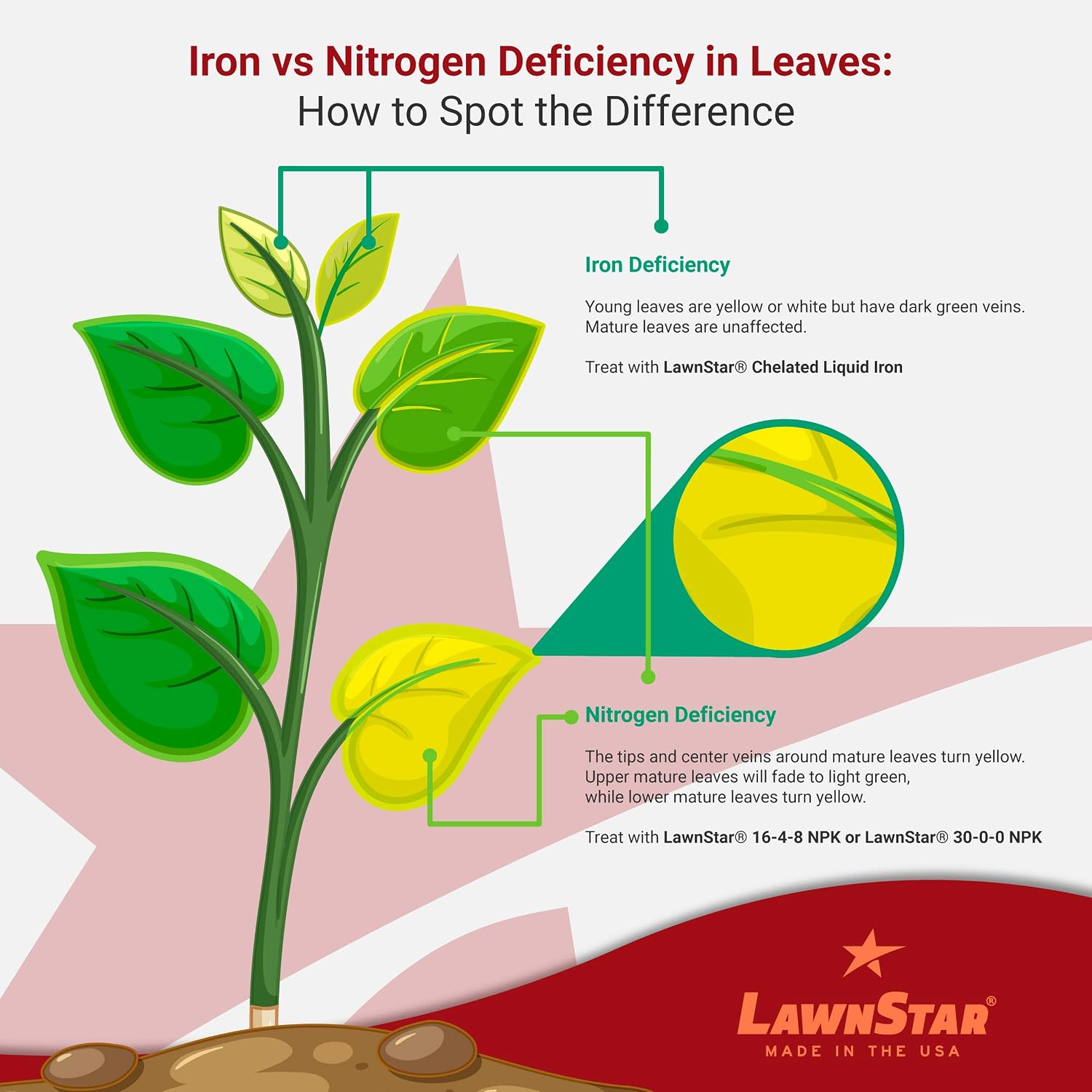 Lawnstar Liquid Iron (32 Oz) For Plants - Multi-Purpose, Suitable For Lawn, Flowers, Shrubs, Trees - Treats Iron Deficiency, Root Damage & Color Distortion – Edta-Free, American Made