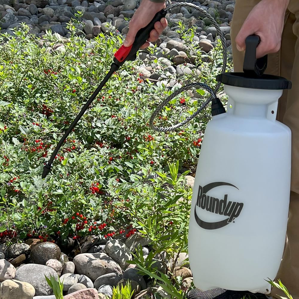 Roundup 190260 2-Gallon Lawn And Garden Sprayer For Controlling Insects And Weeds Or Cleaning Decks And Siding