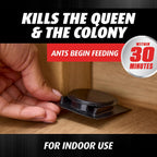 Ortho Orthene Ant Killer Ant Bait, 12 Bait Stations | Indoor Ant Killer, Kills The Queen And The Colony