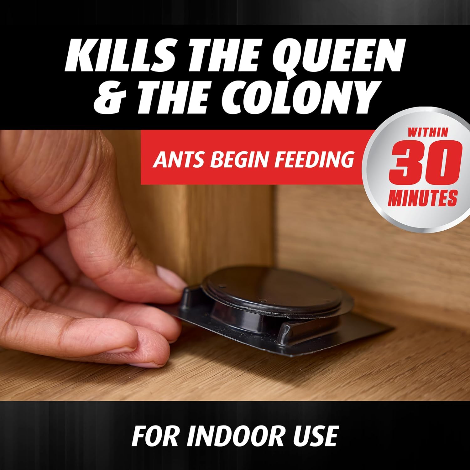 Ortho Orthene Ant Killer Ant Bait, 12 Bait Stations | Indoor Ant Killer, Kills The Queen And The Colony