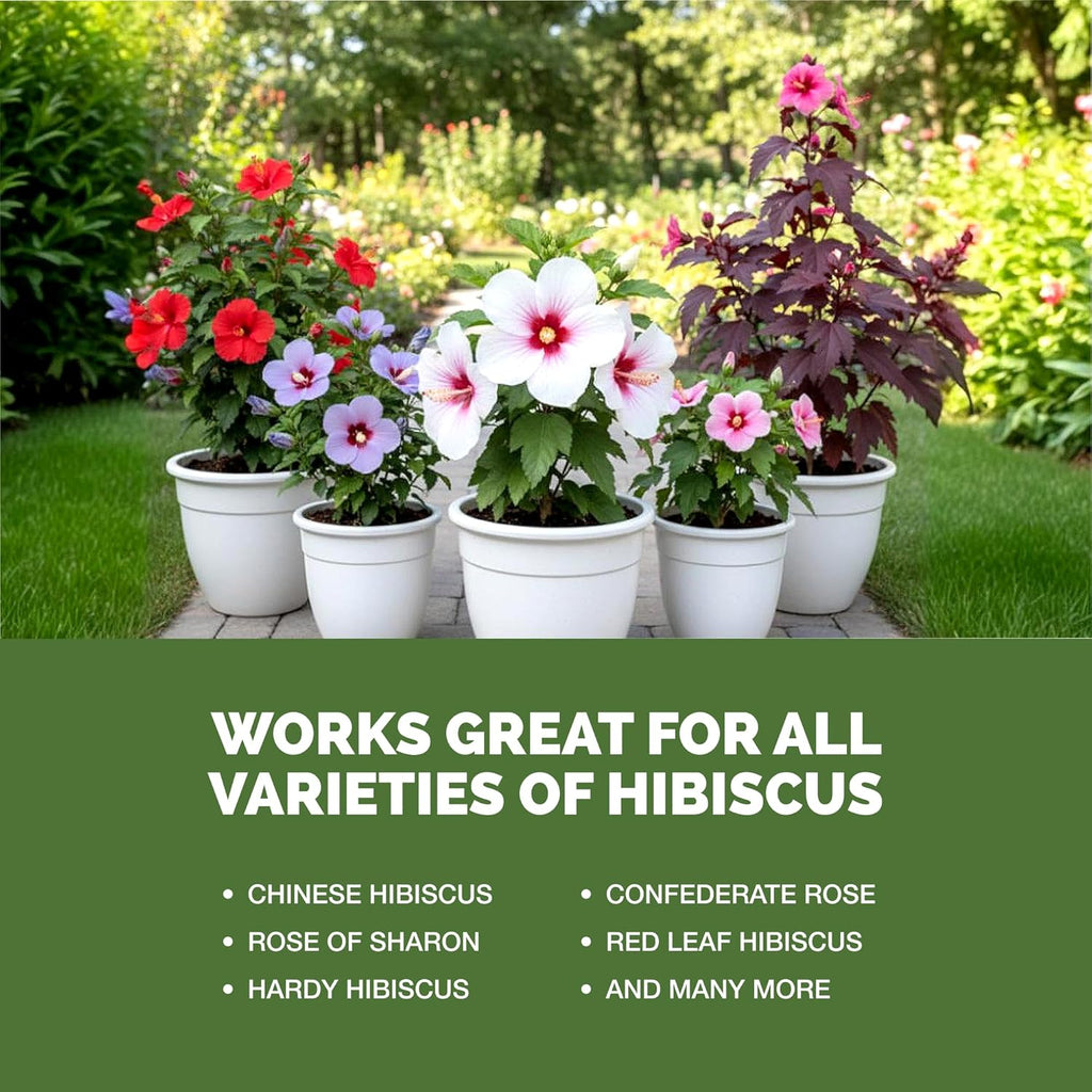 Hibiscus Fertilizer – Liquid Plant Food For More Blooms, Vibrant Color & Healthy Tropical Growth, 8 Oz