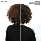 Redken Frizz Dismiss Conditioner - Frizz Control For All Hair Types, Moisturizes & Smoothes, Enhances Shine, With Babassu Oil