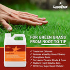 Lawnstar Liquid Iron (32 Oz) For Plants - Multi-Purpose, Suitable For Lawn, Flowers, Shrubs, Trees - Treats Iron Deficiency, Root Damage & Color Distortion – Edta-Free, American Made