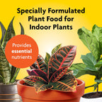 Miracle-Gro Indoor Plant Food, Liquid Plant Food For Houseplants, Snake Plants, Peace Lilies, Flowers, Vegetables, Herbs And More, 8 Oz., 2-Pack
