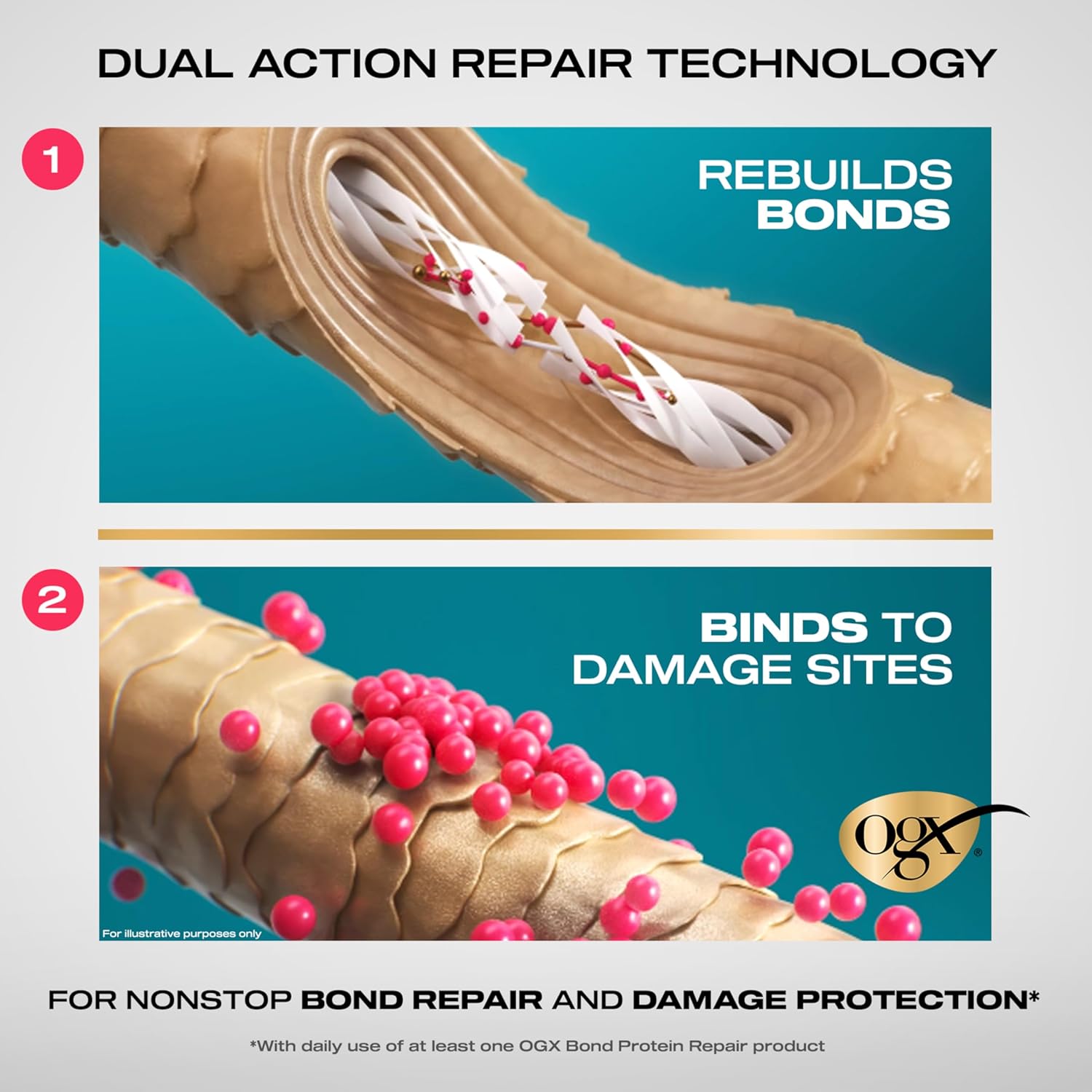 OGX Repair & Protect Bond Protein Repair Shampoo, Lightweight Hair Wash Cleanses & Targets Damaged Hair for Effective Bond Repair, Formulated without Parabens, 13 fl. oz