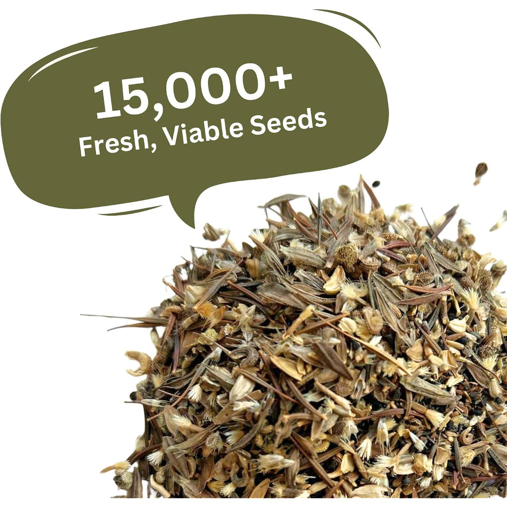 Cut Flower Garden Seed Mix – 15,000+ Seeds – 1 Oz Extra Large Packet – Non-Gmo Flower Seeds – Zinnia, Cosmos, Larkspur, Calendula, Bishop’S Flower & More For Bouquets & Cutting Gardens
