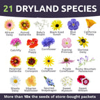 Drought Tolerant Wildflowers Mix – Extra Large Packet – Over 7,500 Open Pollinated Non-Gmo Seeds – 21 Different Dryland Species