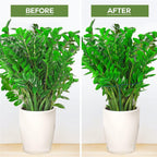 Leobro Plant Support Plant Stakes, 6Pcs Peony Cages And Supports, Metal Garden Stakes Plant Supports, Plant Support Stakes, For Peony, Tomato, Hydrangea, Indoor Outdoor Plants, 10" W X 15.8" H