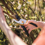 Fiskars Bypass Pruning Shears, 5/8" Cut Capacity Gardening Scissors, Self-Cleaning Sap Groove Prevents Sticking, Non-Slip Grip For Cutting Stems & Branches, Sharp Steel Blades W/ Low-Friction Coating