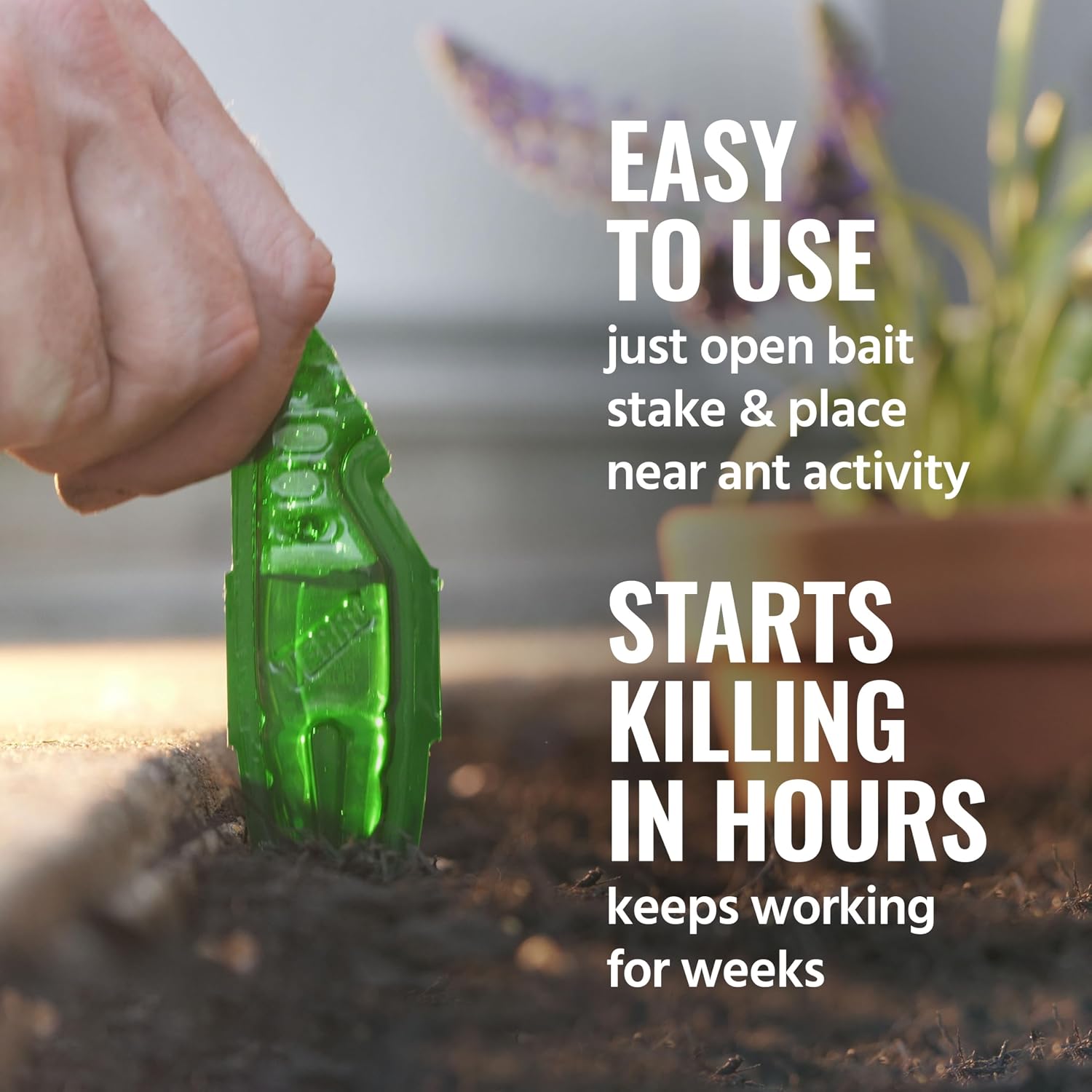 Terro Outdoor Liquid Ant Bait Stakes, 12-Pack, Ready-To-Use Ant Killer Trap | Outdoor Ant Trap For Household Ants Including Acrobat, Crazy, Ghost And Little Black Ants, Weatherproof Ant Colony Killer