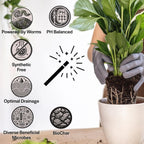 Craft Organic Houseplant Potting Mix, Elite House Plant Soil, Chunky, Well Draining Potting Soil For All Indoor Plants, Tropical Plants & Flowers, Sustainable & Peat Free, Less Prone To Gnats, 2Qt
