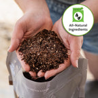 Perfect Plants Money Tree Potting Soil 4Qt | Organic Coco Coir Based Plant Mix For Indoor Trees | Quickly Grow Your Indoor Forest