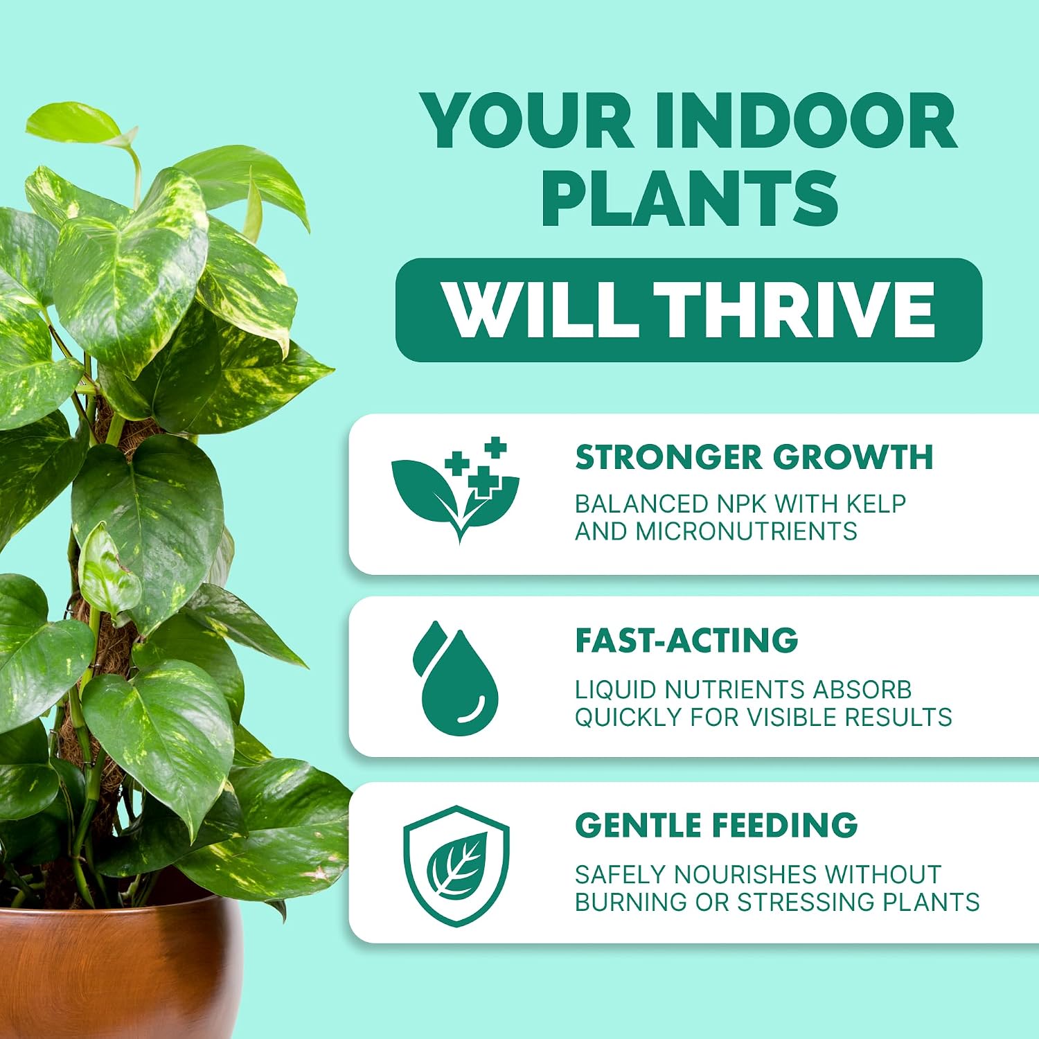 Indoor Plant Food – Liquid Fertilizer For Houseplants, New Growth, Greener Leaves, And Strong Roots, 8Oz