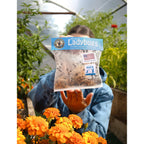 Natures Good Guys 1500 Live Ladybugs - Good Bugs- Ladybugs - Guaranteed Live Delivery!