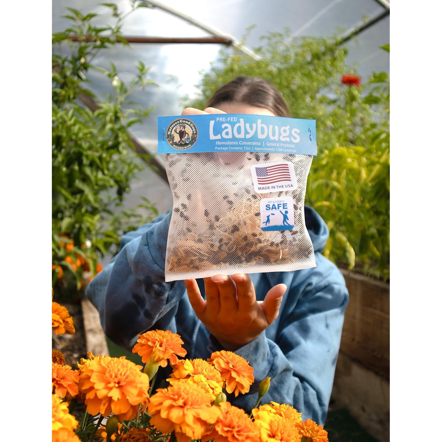 Natures Good Guys 1500 Live Ladybugs - Good Bugs- Ladybugs - Guaranteed Live Delivery!