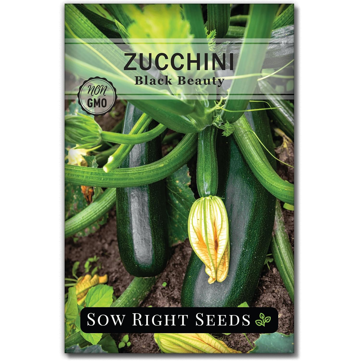 Sow Right Seeds - Black Beauty Zucchini Seeds For Planting - Non-Gmo Heirloom Packet With Instructions To Plant A Home Vegetable Garden - Summer Squash - Classic Zucchini Good For Large Containers (1)