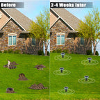 Mole Repellent Solar Powered 10 Pack Snake Repellent Ultrasonic, Groundhog Repeller,Gopher Repeller Sonic Mole Deterrent Spikes, Snake Gopher Mole Vole Repellent Outdoor For Lawn Garden & Yard