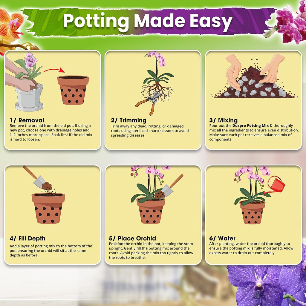 4In1 Orchid Potting Mix For Repotting, Pre-Mixed & Ready To Use, 1Qt | Forest Moss, Pine Bark, Perlite & Pumice, Professional Blend, Drainage & Airflow, Upgraded Formula