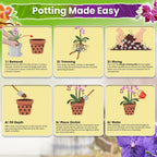 4In1 Orchid Potting Mix For Repotting, Pre-Mixed & Ready To Use, 1Qt | Forest Moss, Pine Bark, Perlite & Pumice, Professional Blend, Drainage & Airflow, Upgraded Formula