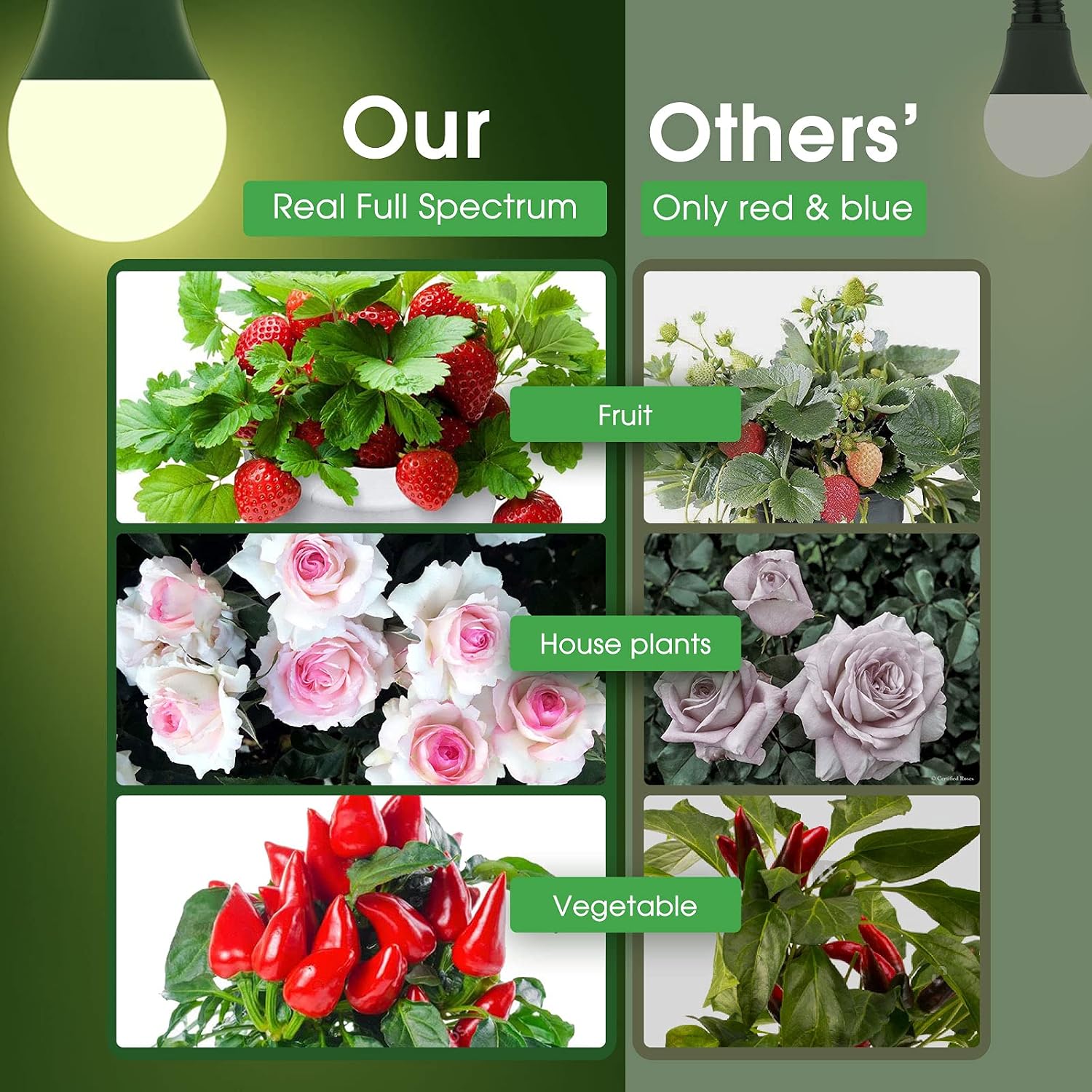 Grow Light Bulbs, Briignite Led Grow Light Bulb A19 Bulb, Full Spectrum Grow Light Bulb, Plant Light Bulbs E26 Base, 11W Grow Bulb 100W Equivalent, Grow Light For Indoor Plants, Seed Starting, 2Pack