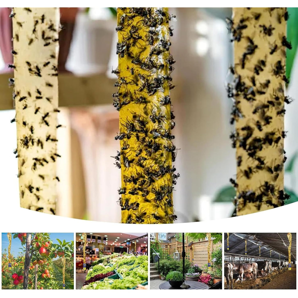 40 Pack Fly Traps Strips Indoor Outdoor, Flies Paper Sticky Hanging With Pins, Fruit Fly Tape Ribbon Roll For Home, Bug & Gnat Catchers For Inside, House Fly Killer For Winged Insect, Mosquito
