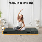 Filuxe Folding Sofa Bed | Convertible Sleeper Chair Bed For Adults, Fold Out Chair To Bed Linen Futon Chair With Pillow, For Home Dorm Apartment Rv Living Room, Single Size Dark Gray