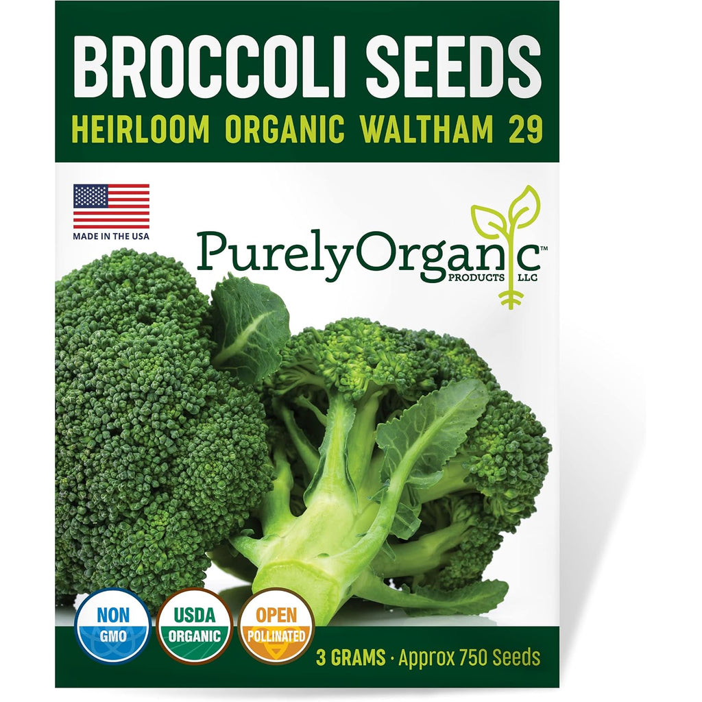 Purely Organic Broccoli Seeds (Waltham 29) - Approx 750 Seeds - Usda Organic, Non-Gmo, Open Pollinated, Heirloom, Usa Origin