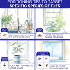50 Window Fly Traps Sticky Non-Toxic Clear Fly Paper Indoor For Home. No Mess Flies Window Sticky Traps Bug Flies Strips Indoors. Fruit And Housefly Trap Indoor Flypaper Tape Gnat Catcher Killer