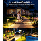 Solar Pathway Lights Outdoor, 8 Pack Garden Lights Solar Powered Path Lights With Larger Led Lens, 2 Light Modes Waterproof Outdoor Solar Light For Yard Driveway Walkway Landscape, Warm White