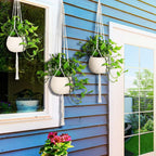 Mipon 3 Pack Macrame Plant Hangers, Hanging Planters For Indoor Plants | 3 Sizes (34"/41"/46") Handmade Cotton With Hooks, Boho Home Decor For Patio Balcony Living Room, Fits 5-10 Inch Pots