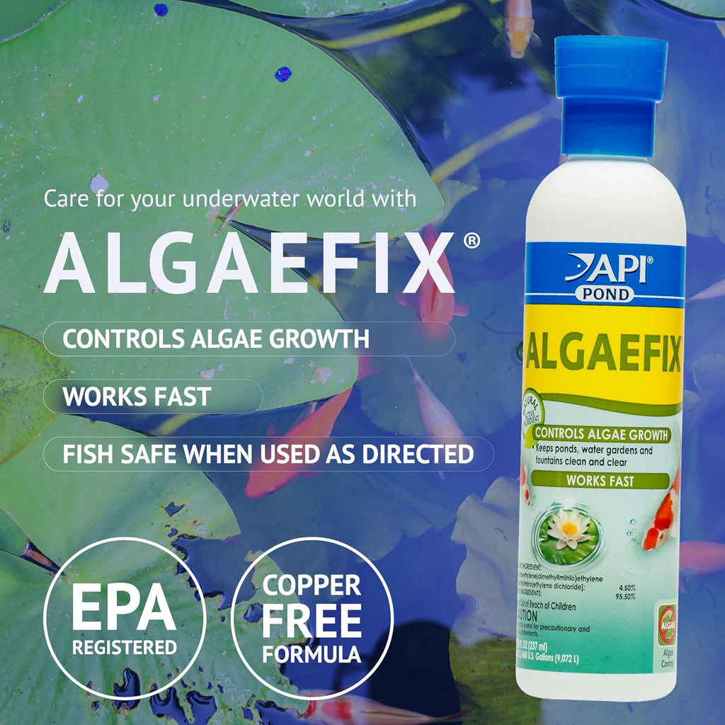 Api Pond Algaefix (32 Fl Oz) Pond Algae Control - Copper Free - Clean, Clear Water - Up To 9600 Gallons - Safe For Fish & Plants - Water Gardens, Fountains - Natural Active Ingredient - Epa-Registered