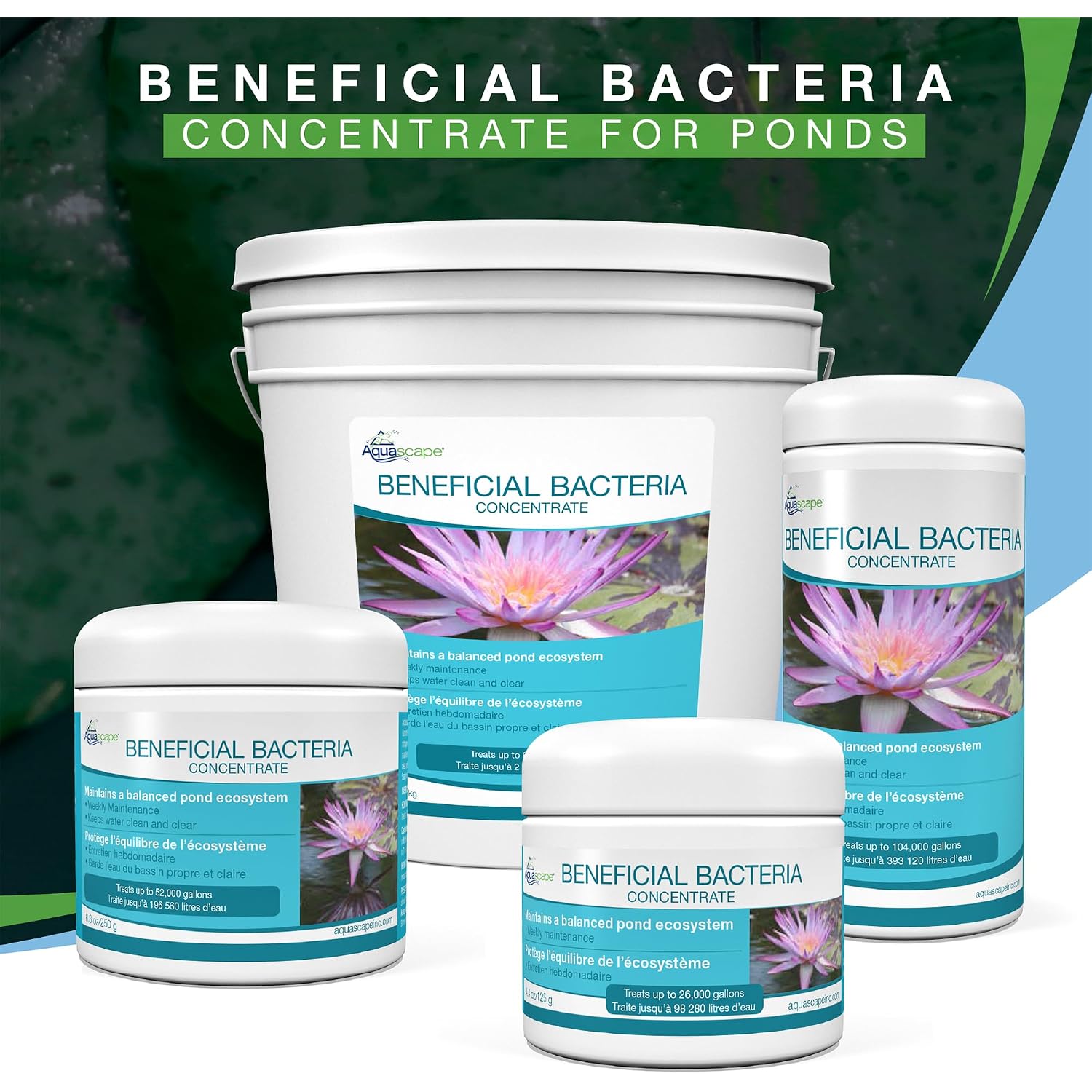 Aquascape Beneficial Bacteria Concentrate For Pond And Water Features, 1.1-Pound, 98949