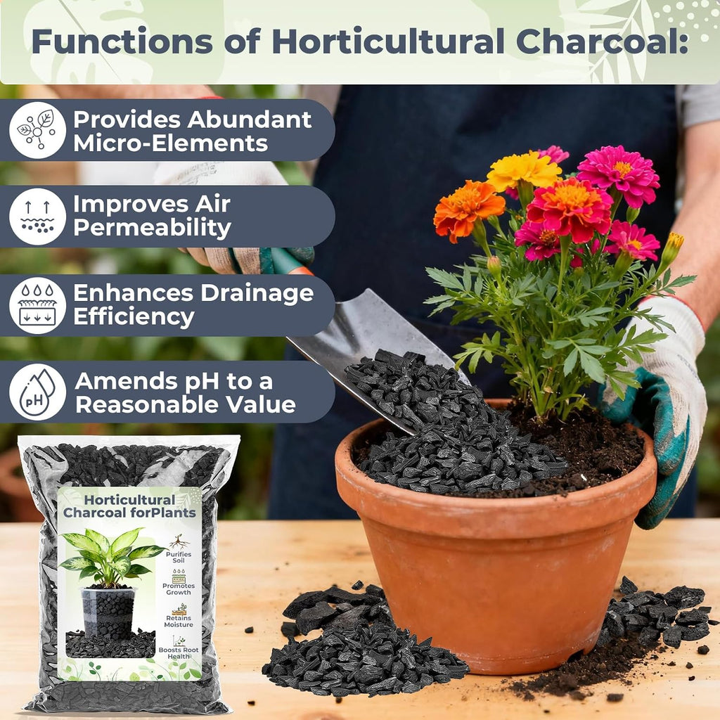 Sukh 1Qt Horticultural Charcoal For Plants - Organic Biochar Soil Amendment | Activated Charcoal For Plants, Succulents, Paphiopedilum, Bonsai, Terrarium, Gardening Potting Soil