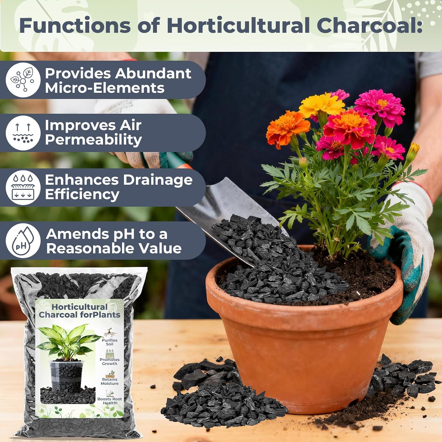 Sukh 1Qt Horticultural Charcoal For Plants - Organic Biochar Soil Amendment | Activated Charcoal For Plants, Succulents, Paphiopedilum, Bonsai, Terrarium, Gardening Potting Soil