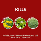 Spectracide Weed & Grass Killer, Use On Driveways, Walkways And Around Trees And Flower Beds, 1 Gallon (Rtu Spray)