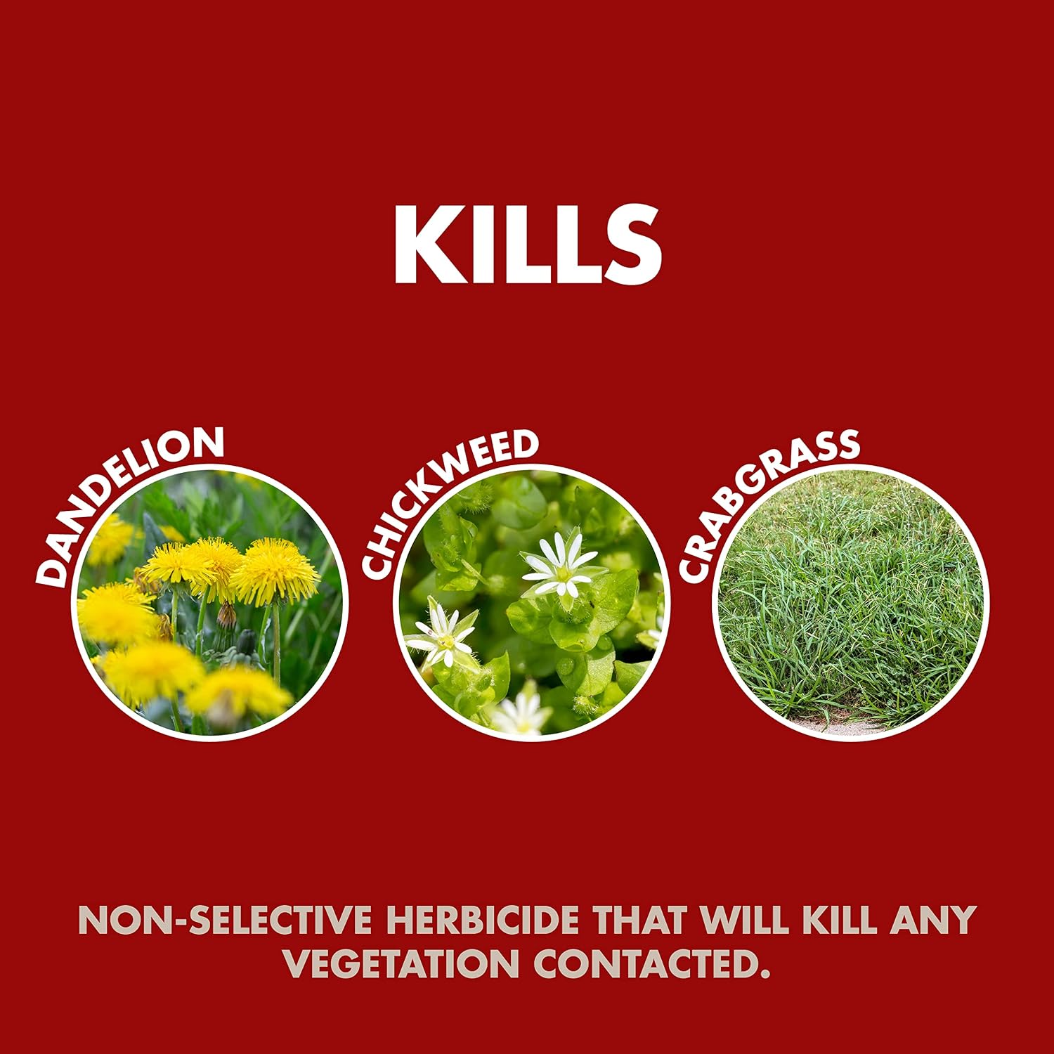 Spectracide Weed & Grass Killer, Use On Driveways, Walkways And Around Trees And Flower Beds, 1 Gallon (Rtu Spray)