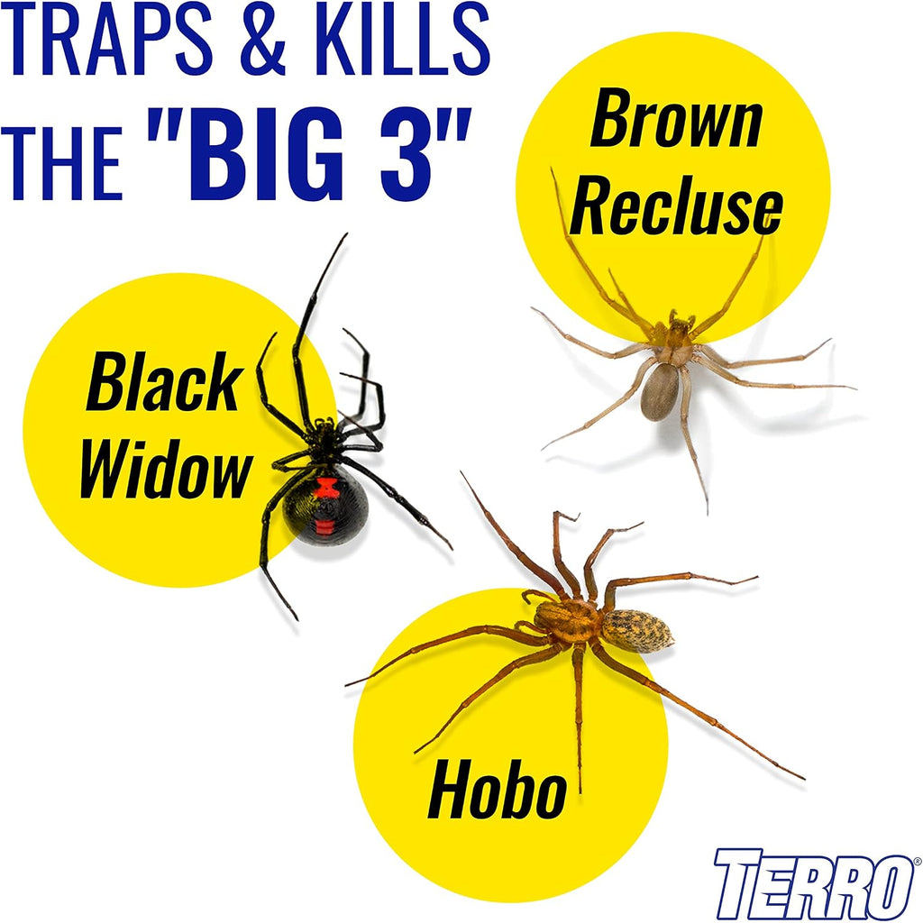 Terro Spider & Insect Trap, 10-Pack Sticky Glue Traps | Kills Roaches, Spiders, Ants, Cockroaches, Crickets, Indoor Bug Catcher Pest Control Traps, 4.25 In X 10 In, T3206-10
