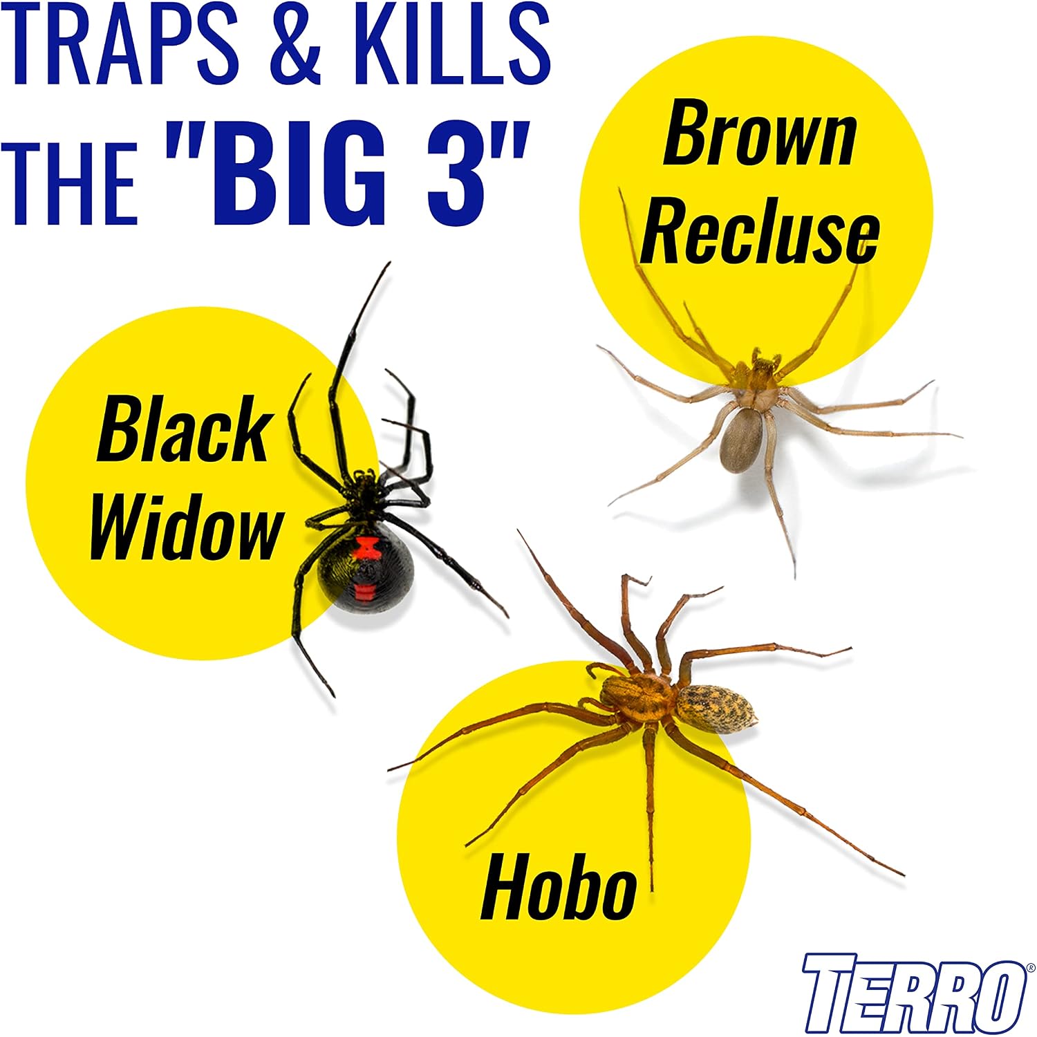 Terro Spider & Insect Trap, 10-Pack Sticky Glue Traps | Kills Roaches, Spiders, Ants, Cockroaches, Crickets, Indoor Bug Catcher Pest Control Traps, 4.25 In X 10 In, T3206-10