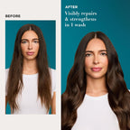 OGX Renewing + Argan Oil of Morocco Conditioner, Repair Conditioner & Argan Oil Helps Strengthen & Repair Dry, Damaged Hair, Paraben-Free, Sulfate-Free Surfactants, 13 fl. oz