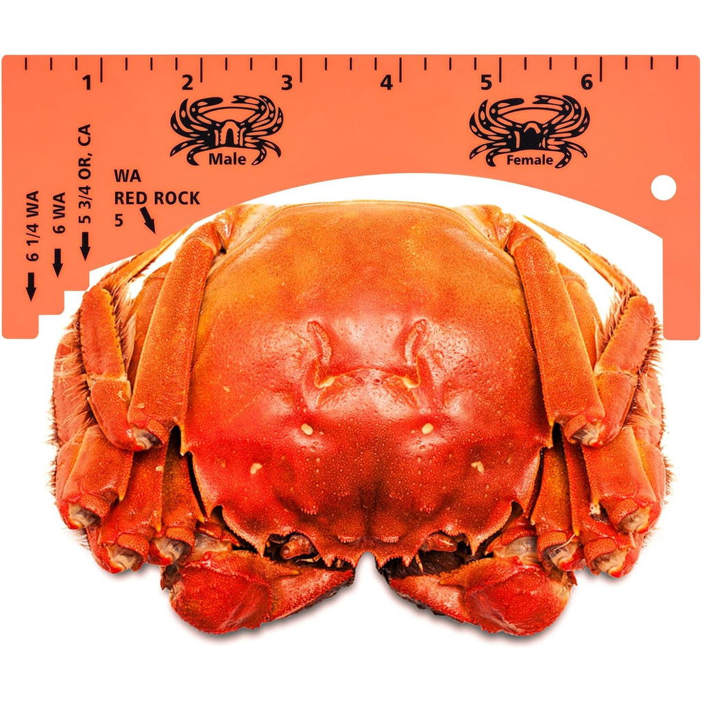 Lakei Crab Gauge, Measure For Dungeness, Blue Crab, Rock Crab, Lobste