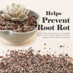 Succulent, Cactus And Bonsai Soil - Jacks Gritty Mix - 2 Quarts – Fast Draining – Fight Root Rot – Optimized Ph