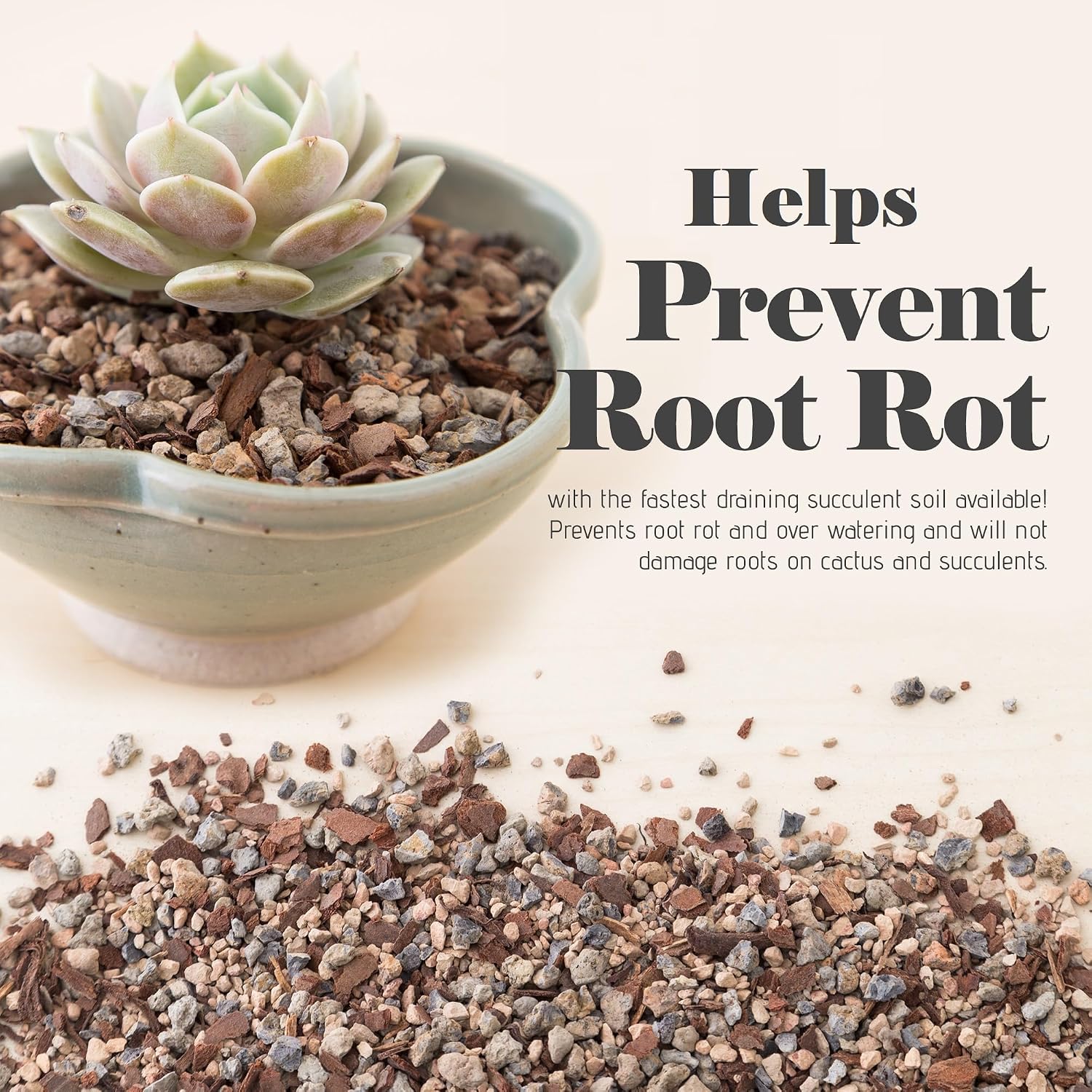 Succulent, Cactus And Bonsai Soil - Jacks Gritty Mix - 2 Quarts – Fast Draining – Fight Root Rot – Optimized Ph