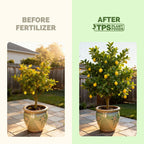 Lemon Tree Fertilizer – Liquid Plant Food For More Fruit, Better Flowering & Stronger Root Development, 8 Oz